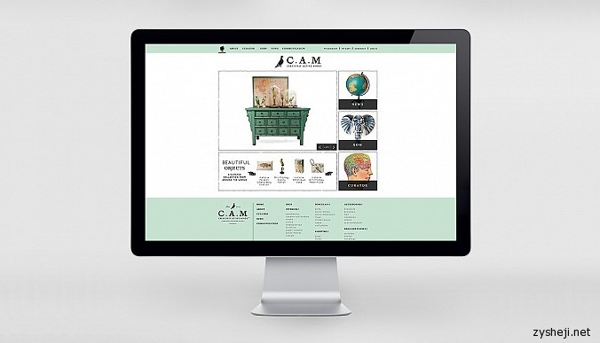 Whitespace_Web_CAM_Home1